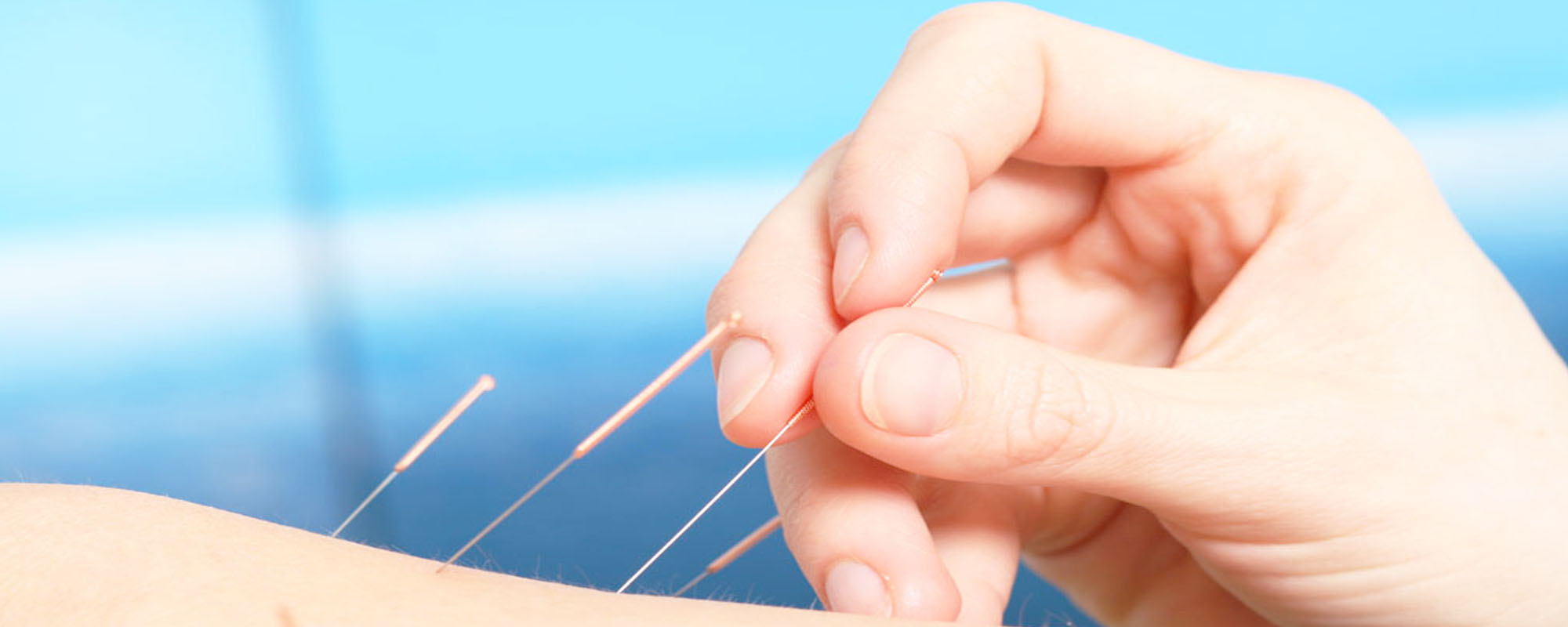 Acupuncture & Oriental Medicine<br><span>That You Can Trust</span>
